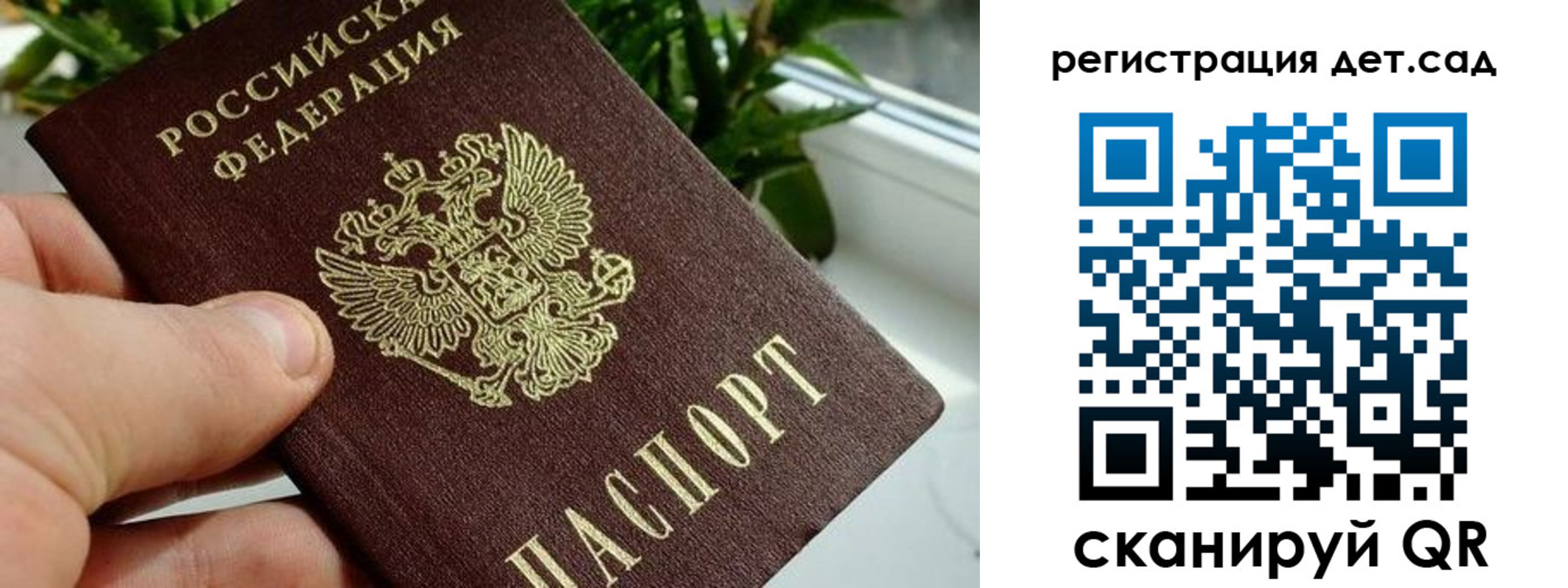 найти адрес прописки в Белой Холунице